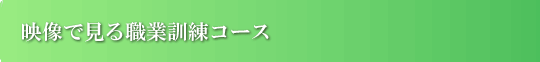 fŌ_ސEƌPZ^[
